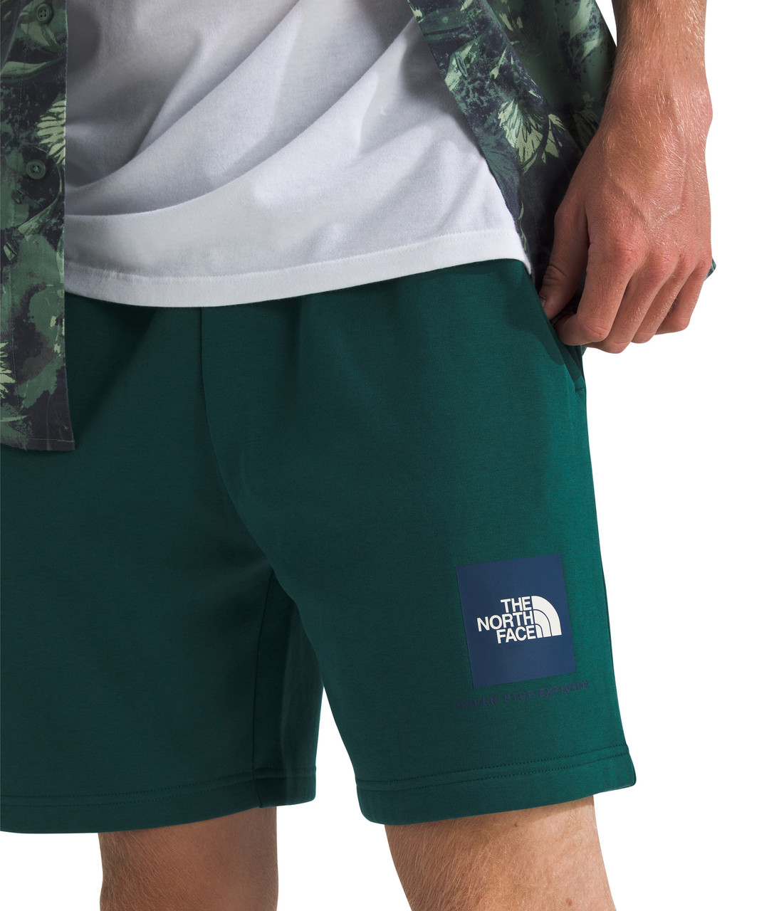 The North Face Box NSE Regular Shorts - Men's