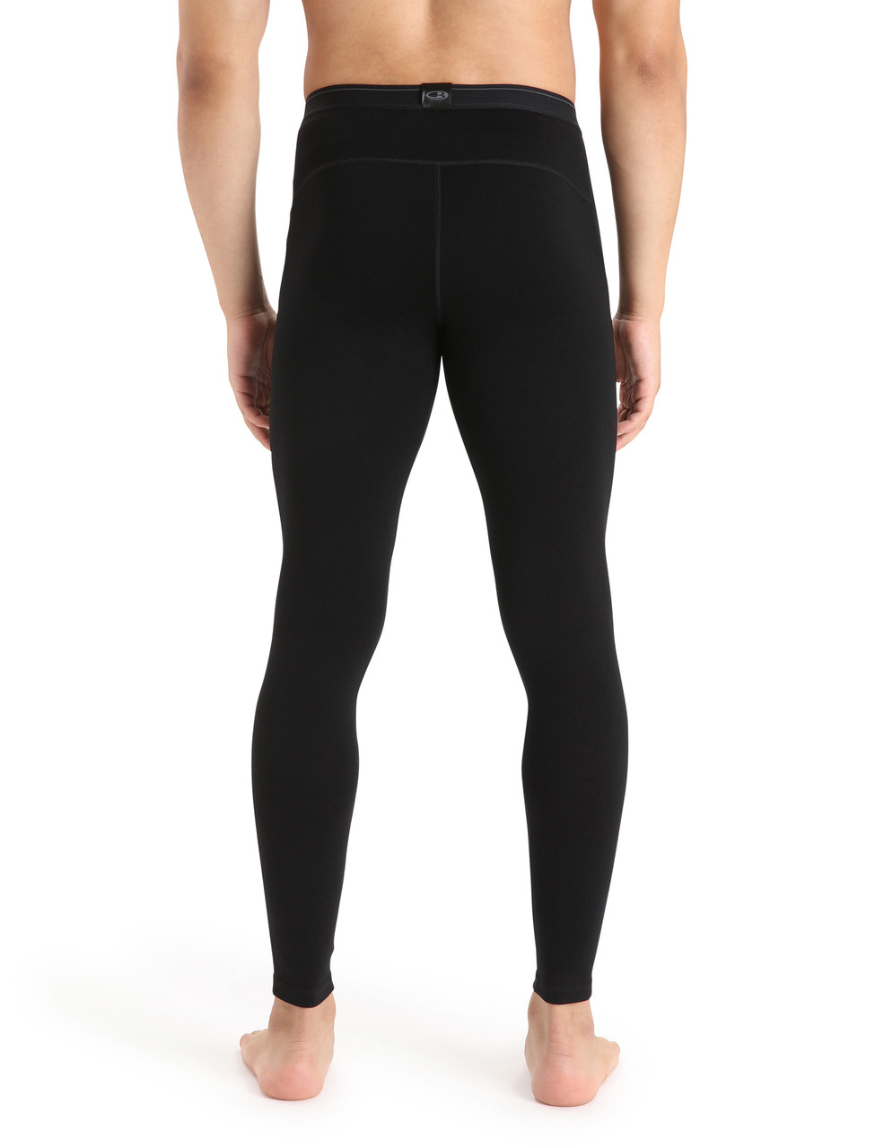 icebreaker Merino 260 Tech Leggings with Fly - Men's