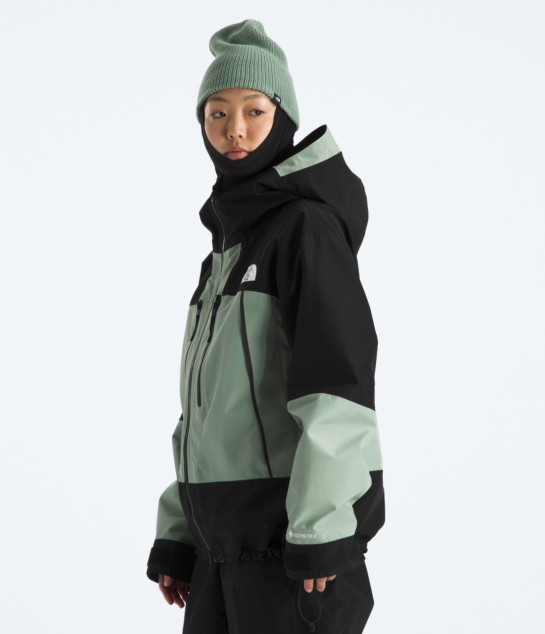 The North Face GTX Hex Jacket - Women's