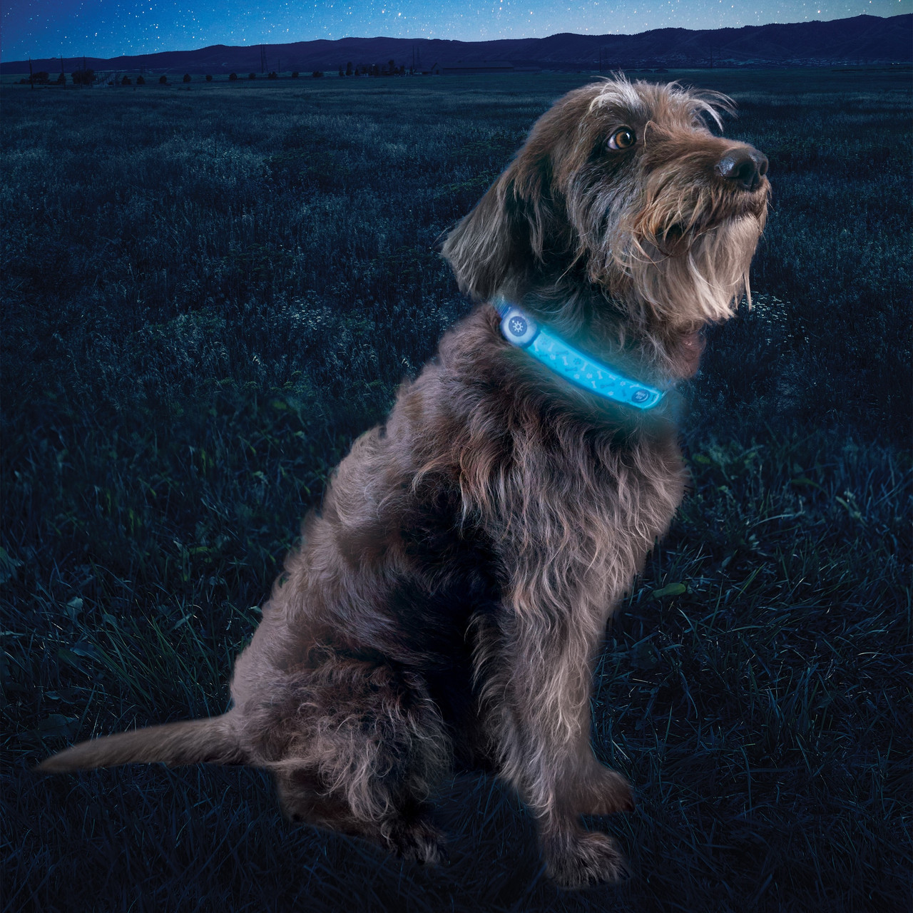 Nite Ize Rechargeable Collar Cover