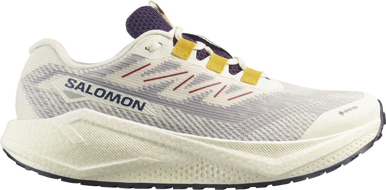 Salomon Aero Blaze 3 Gravel Gore-Tex Running Shoes - Men's