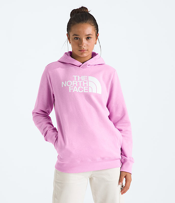 The North Face Half Dome Pullover Hoodie