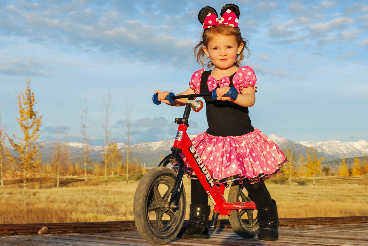 Strider 12 Sport Balance Bike - Infants to Children