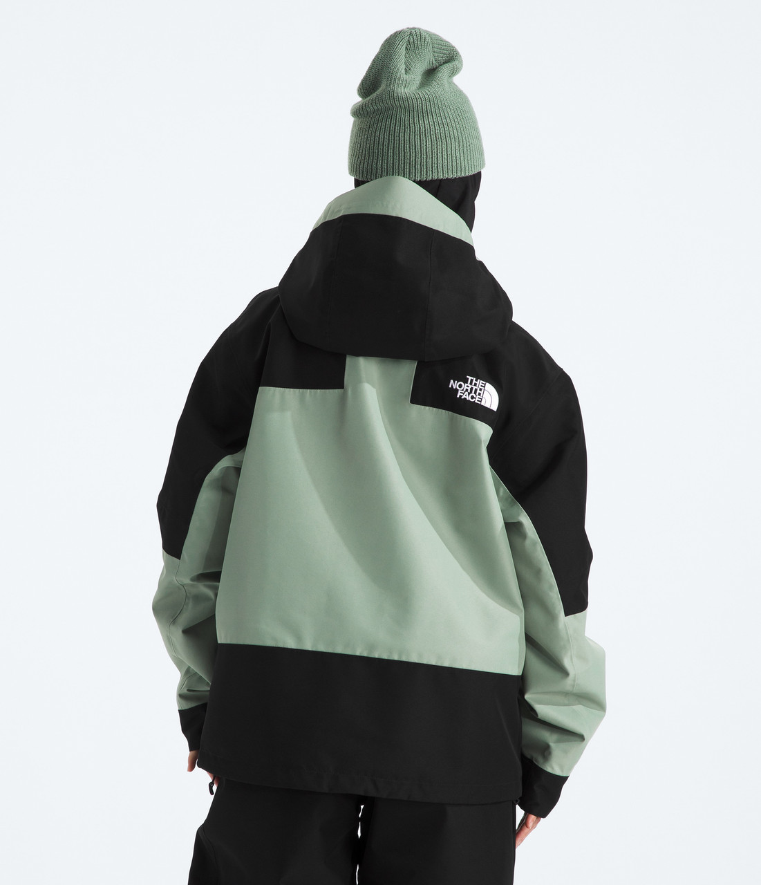 The North Face GTX Hex Jacket - Women's