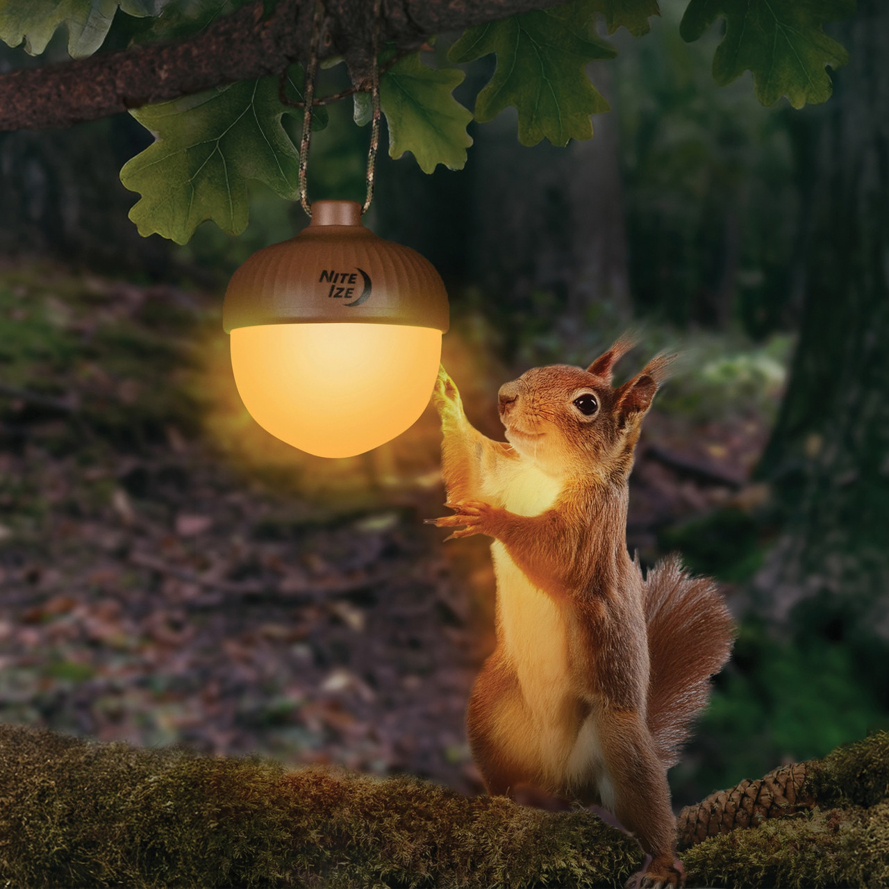 Nite Ize Radiant NutLit Rechargeable Lantern