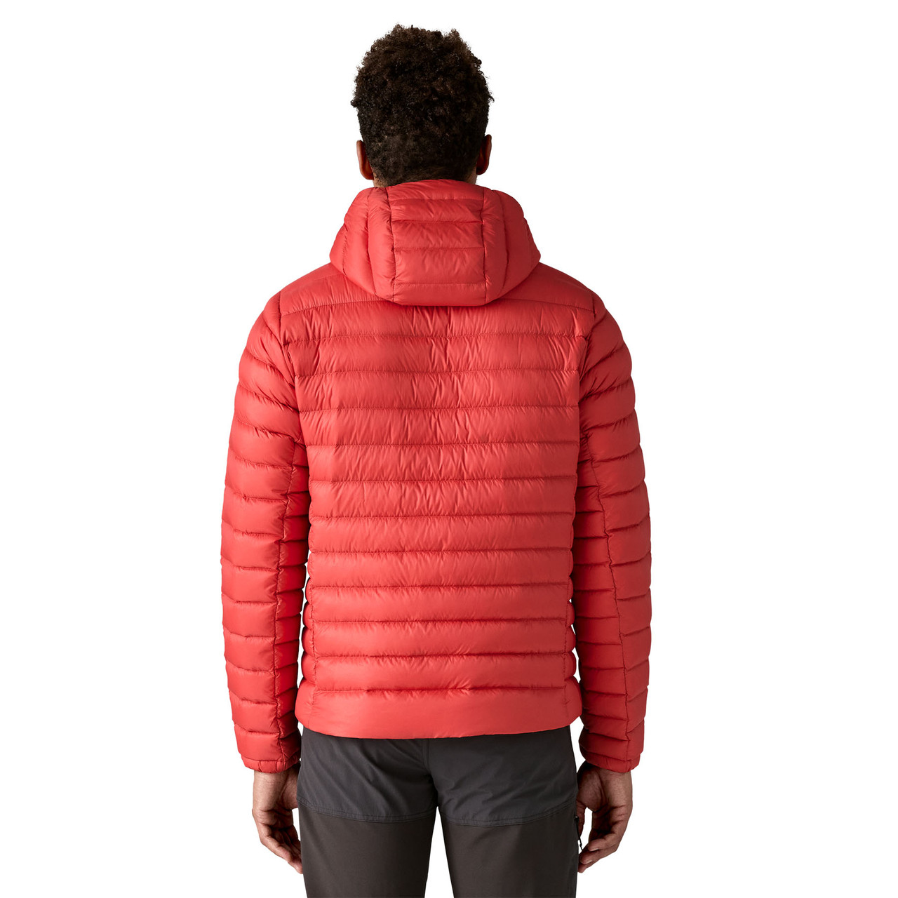 Patagonia Down Sweater Hoody - Men's