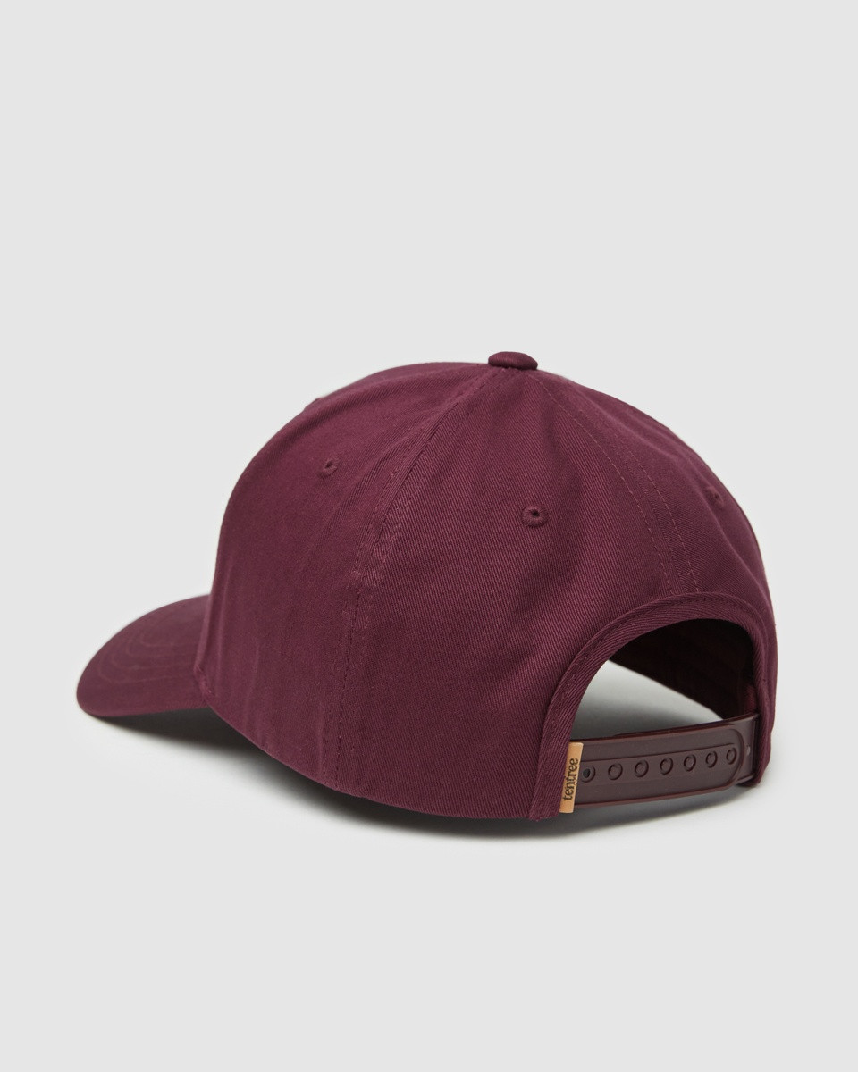 tentree Juniper Cork Patch Elevation Hat - Unisex