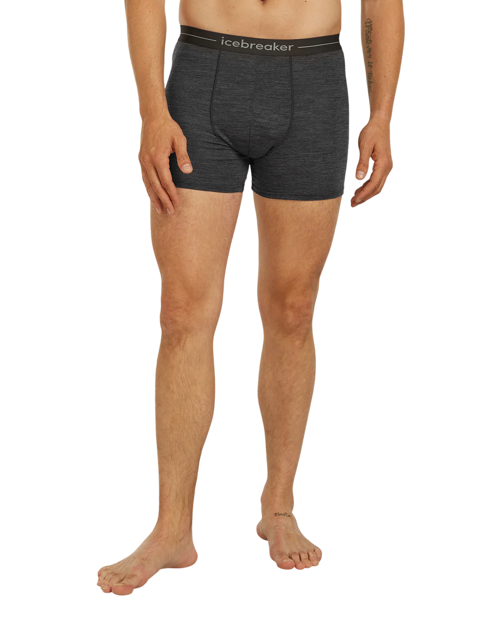 icebreaker Anatomica Boxers - Men's