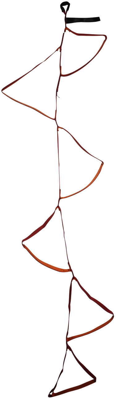 Black Diamond 6 Step Aider