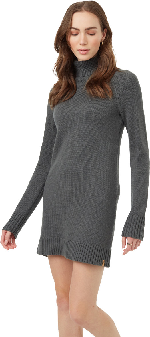 tentree Highline Turtleneck Dress - Women's