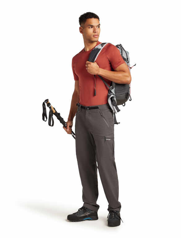 icebreaker Merino 200 Oasis SS Crewe - Men's