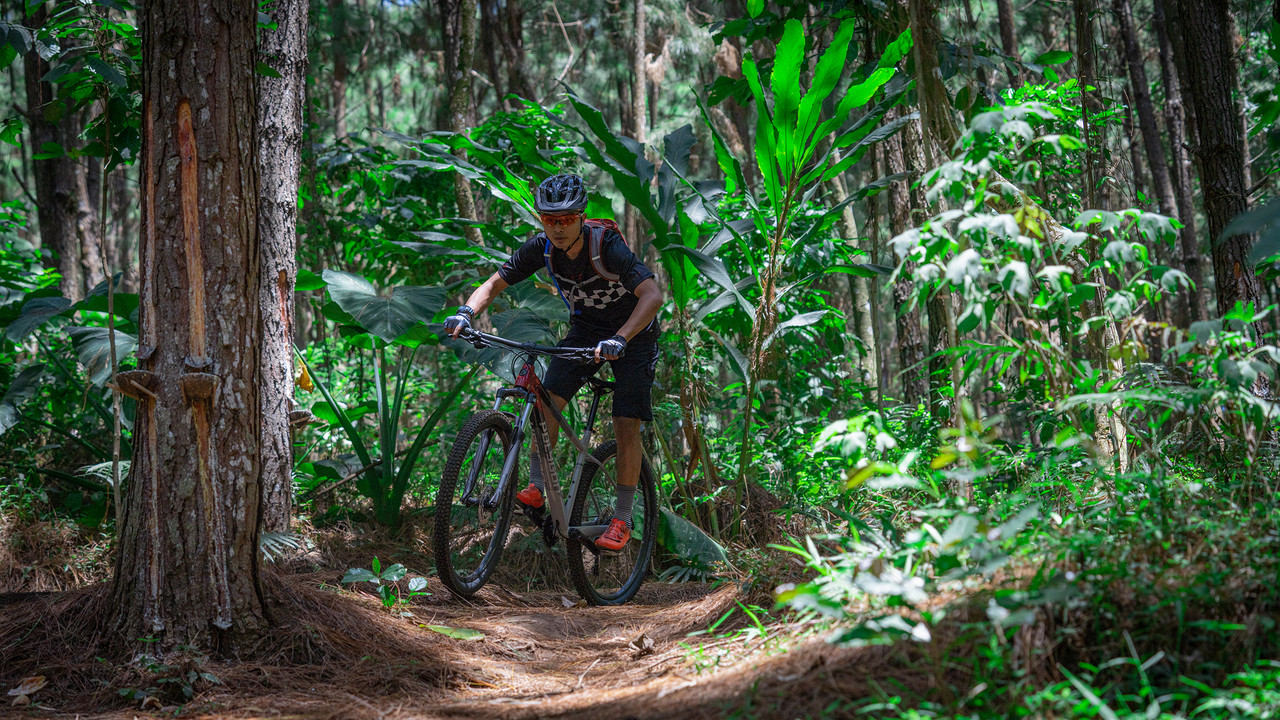 Polygon Xtrada 5 Mountain Bicycle - Unisex