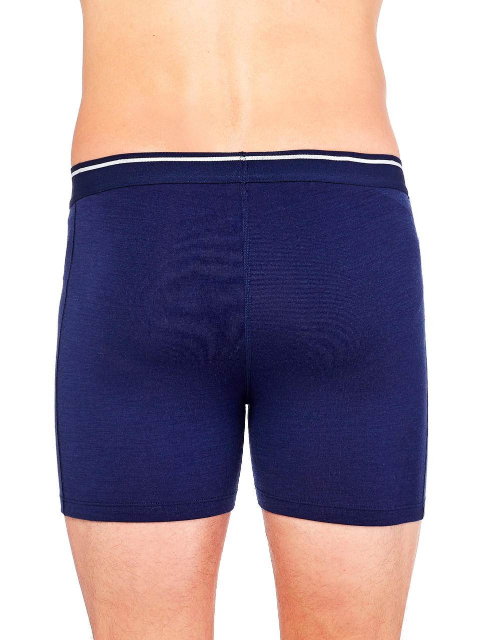 icebreaker Anatomica Boxers - Men's