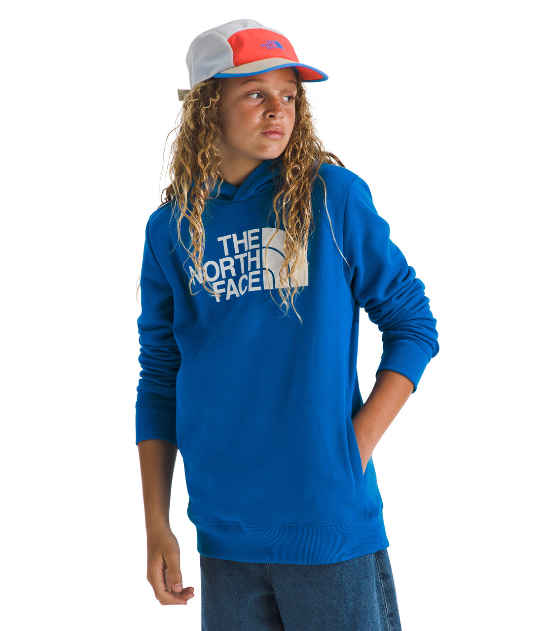 The North Face Half Dome Pullover Hoodie