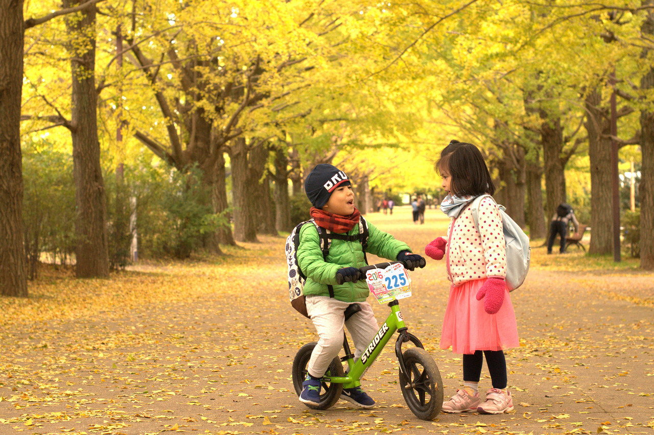 Strider 12 Sport Balance Bike - Infants to Children