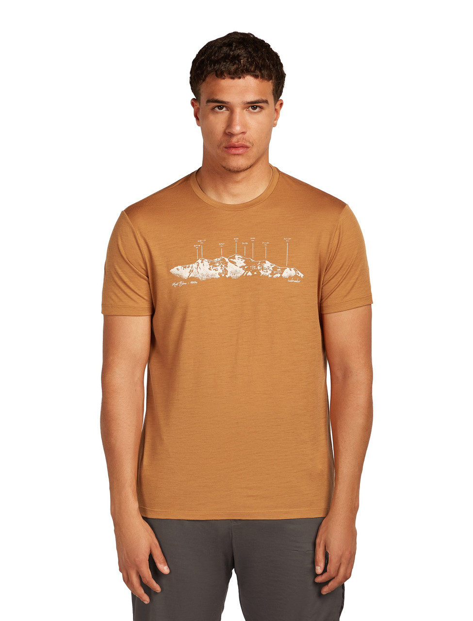 icebreaker Merino 150 Tech Lite Short Sleeve Tee - Men's