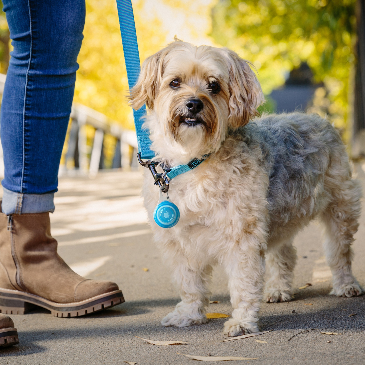 WearAbout Pet Clippable Tracker Holder