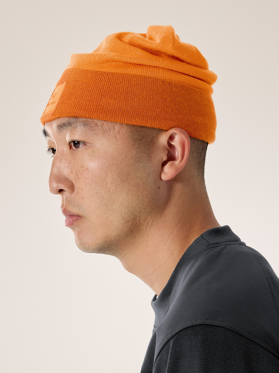 Arc'teryx Color Block Toque