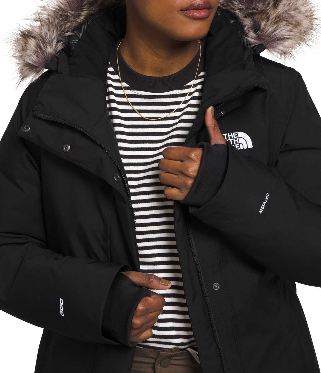 The North Face Arctic Parka - Women's