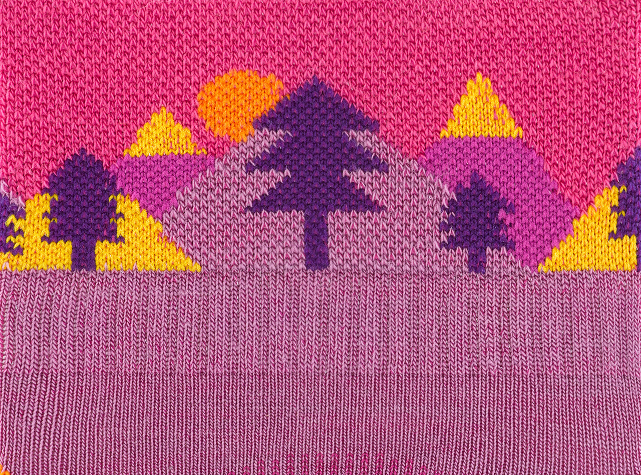 Darn Tough Quest 1/4 Lightweight Socks - Children to Youths