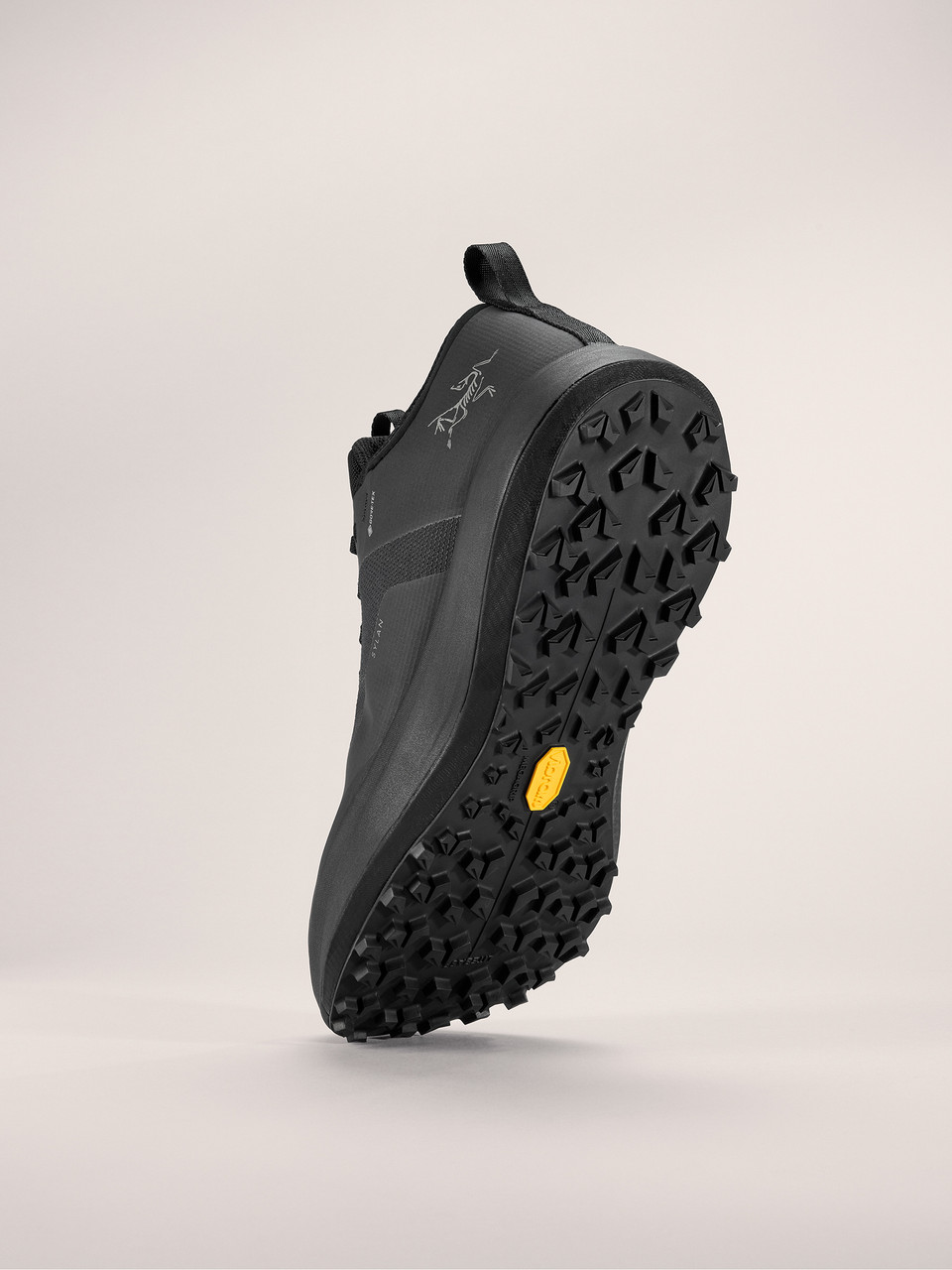 Arc'teryx Sylan Gore-Tex Running Shoes - Men's