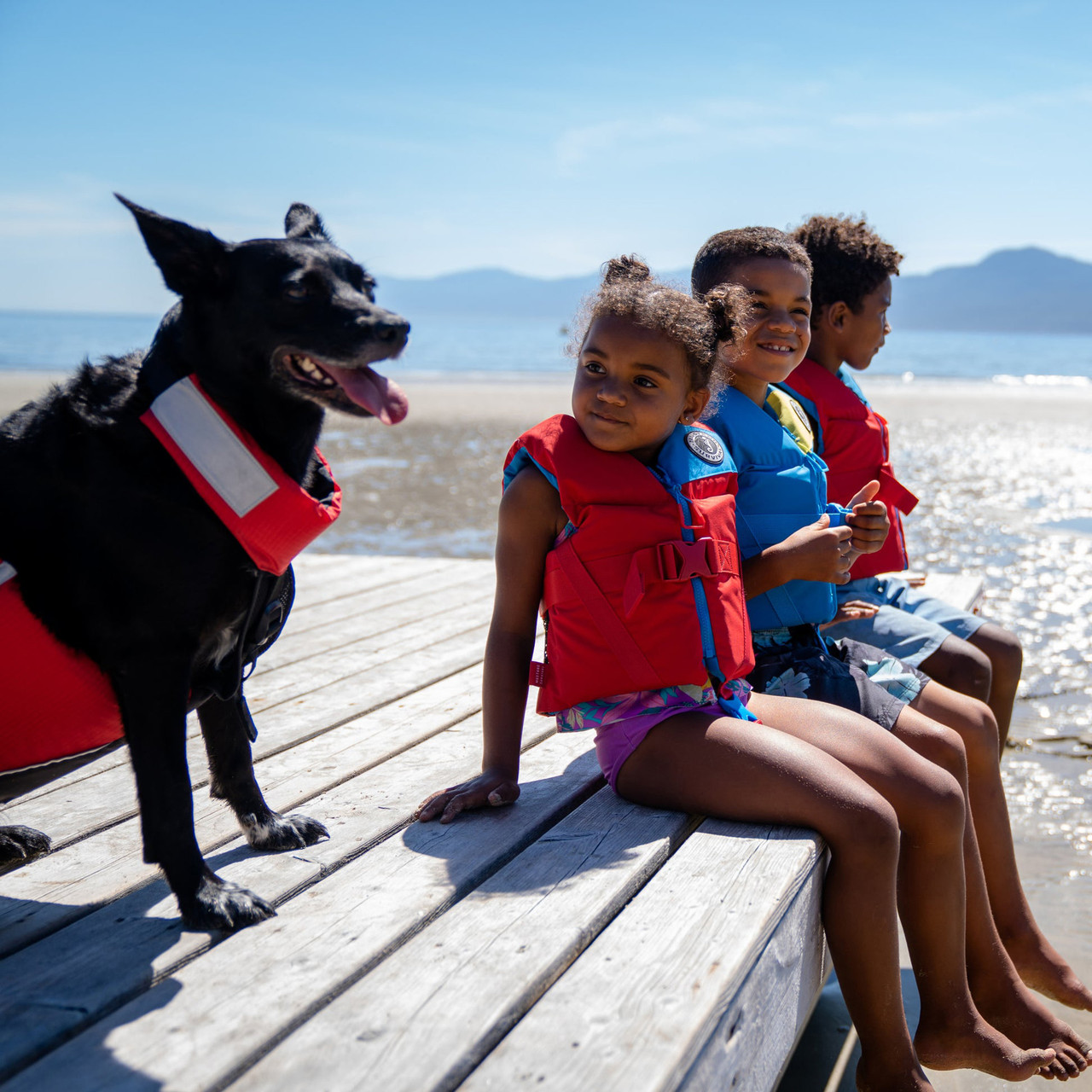 Mustang Survival Rev Foam Vest PFD