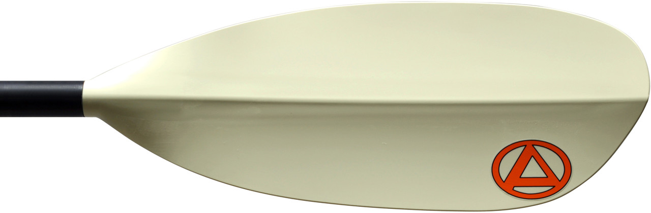 Accent Transformer Paddle