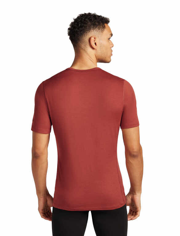 icebreaker Merino 200 Oasis SS Crewe - Men's