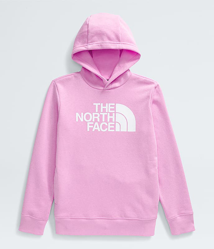 The North Face Half Dome Pullover Hoodie