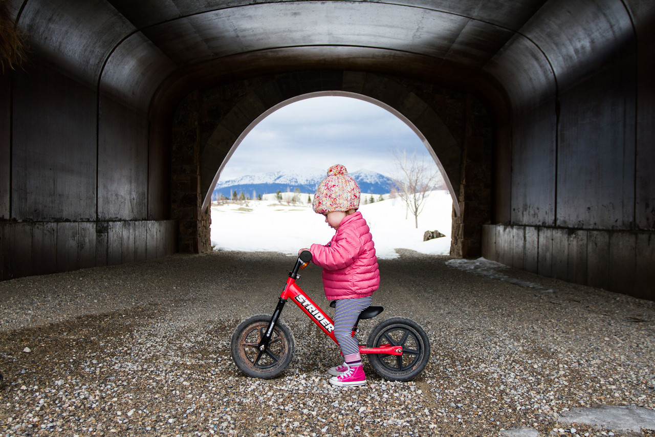 Strider 12 Sport Balance Bike - Infants to Children