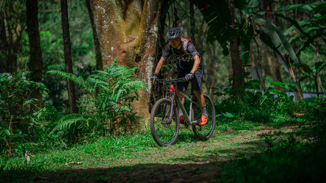 Polygon Xtrada 5 Mountain Bicycle - Unisex