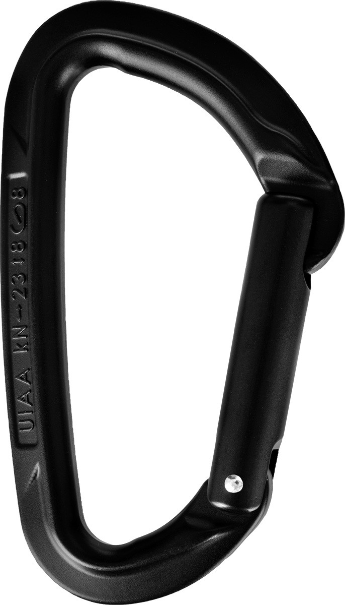 Wild Country Session Straight Gate Carabiner