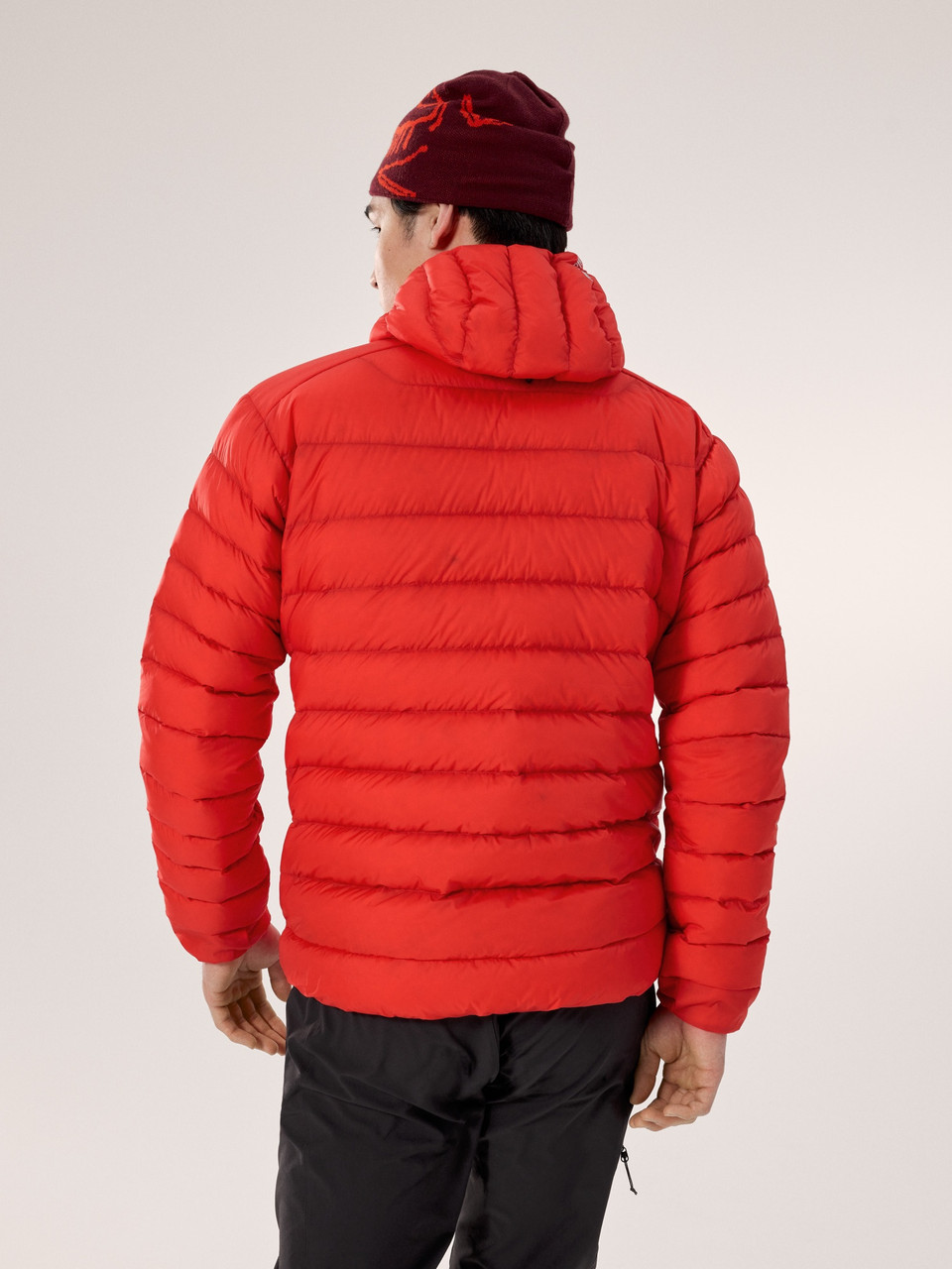 Arc'teryx Cerium Hoody - Men's