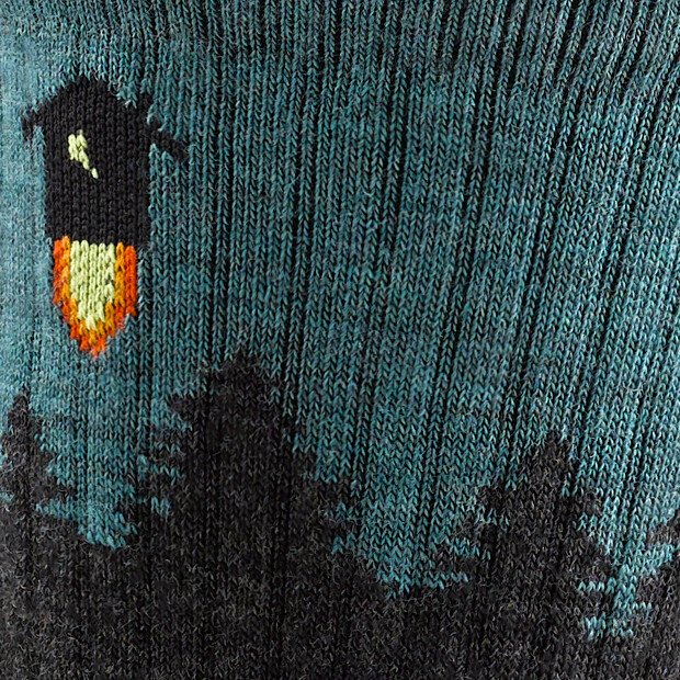 Darn Tough Number 2 Midweight Cushion Micro Crew Socks - Unisex