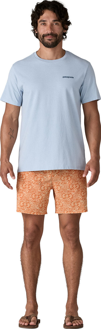 Patagonia Hydropeak Volley 16" Shorts - Men's