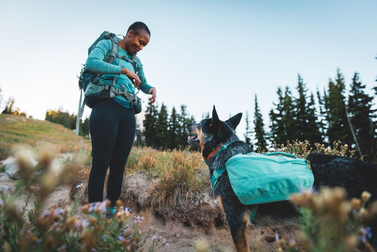 Ruffwear Front Range Day Pack