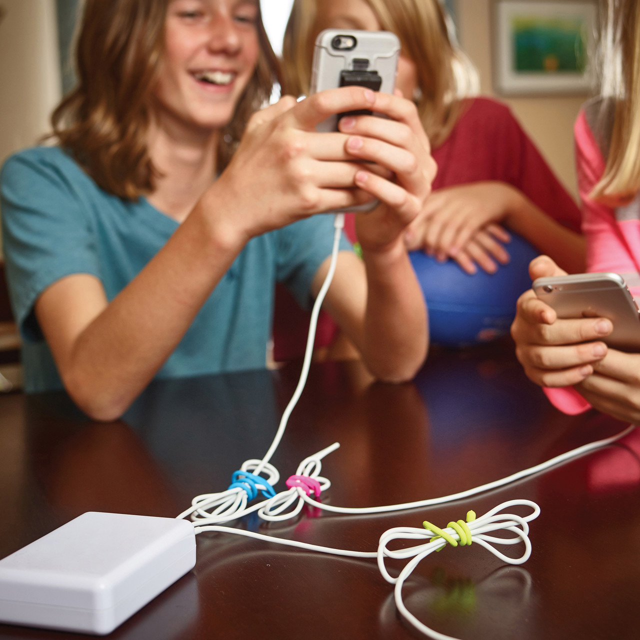 Nite Ize Gear Tie Cordable Twist Tie 3" (4 Pack)