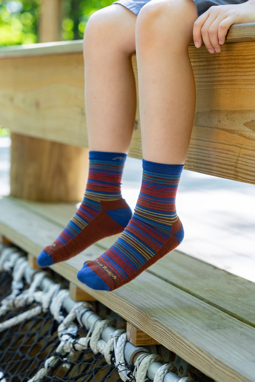 Darn Tough Zebra Canyon Micro Crew - Children to Youths