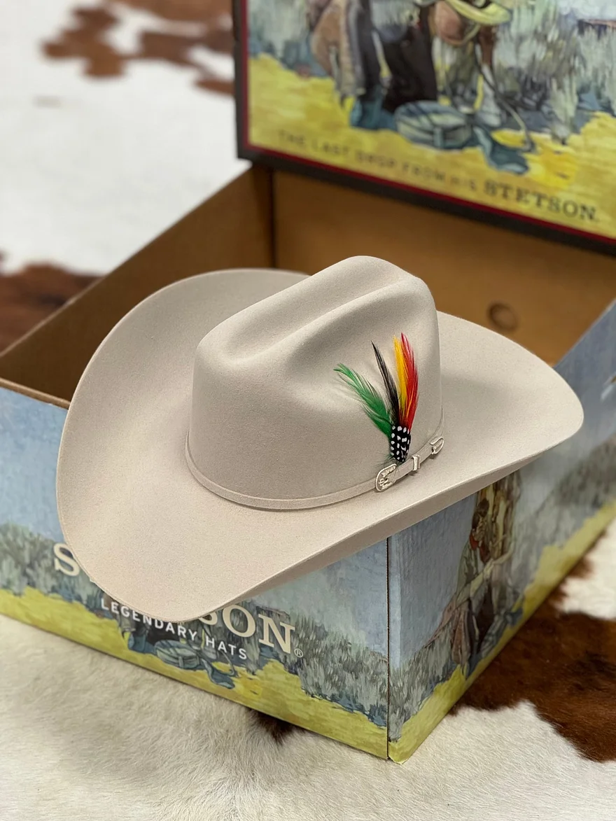 6XSILVER BELLYTRADICIONAL