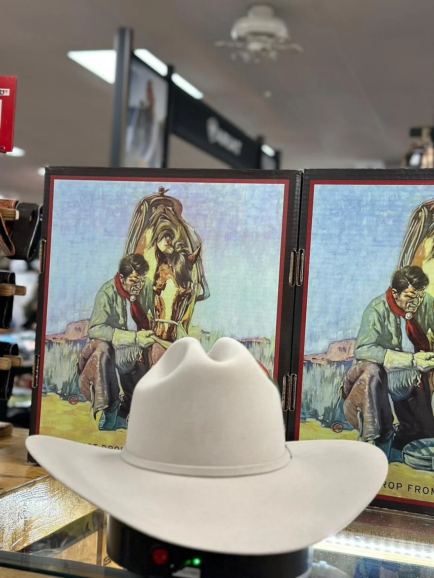 6XSILVER BELLYTRADICIONAL