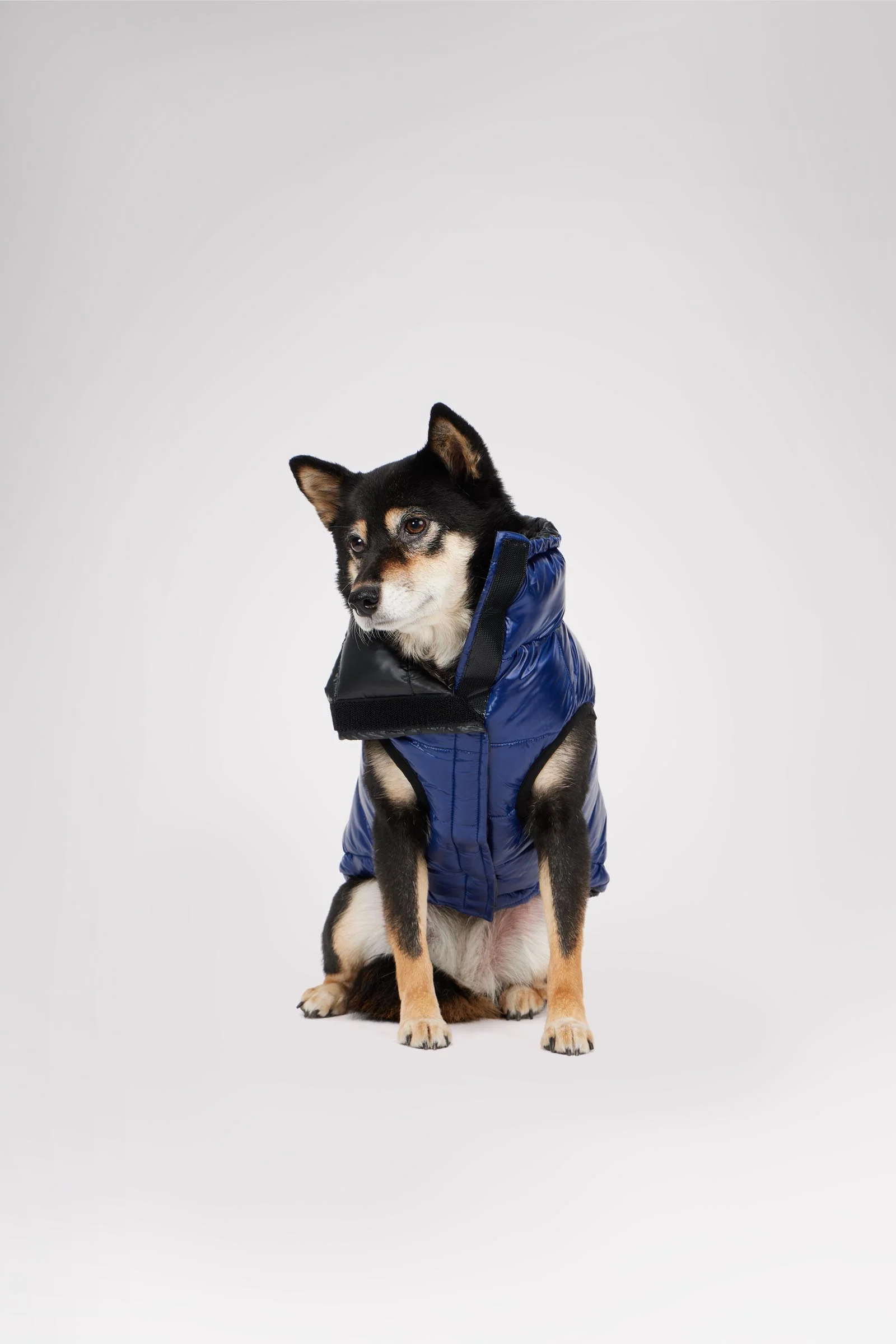 Theo Reversible Puffer for Dogs