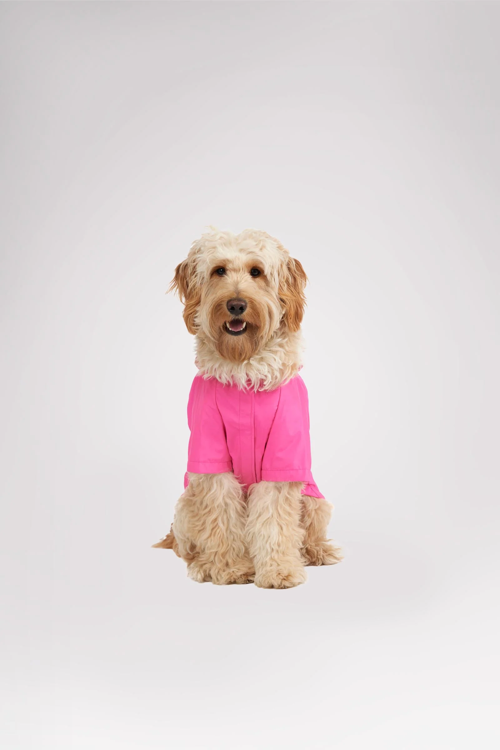 Neo reflective Rain Jacket for Dogs