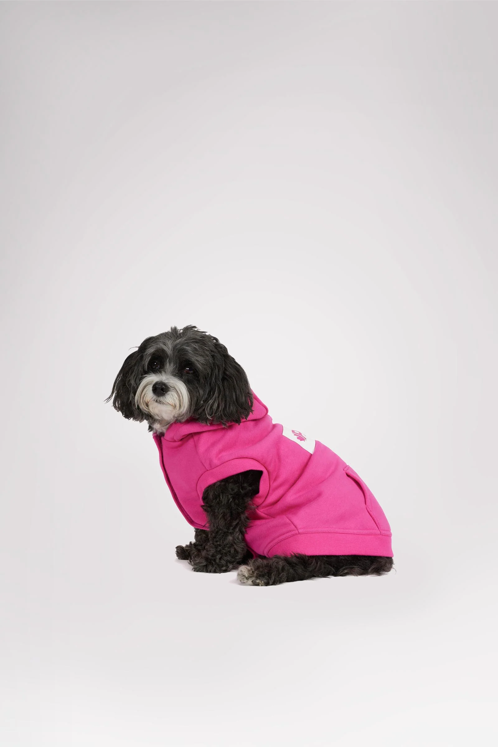 Dash Hoodie for Dogs