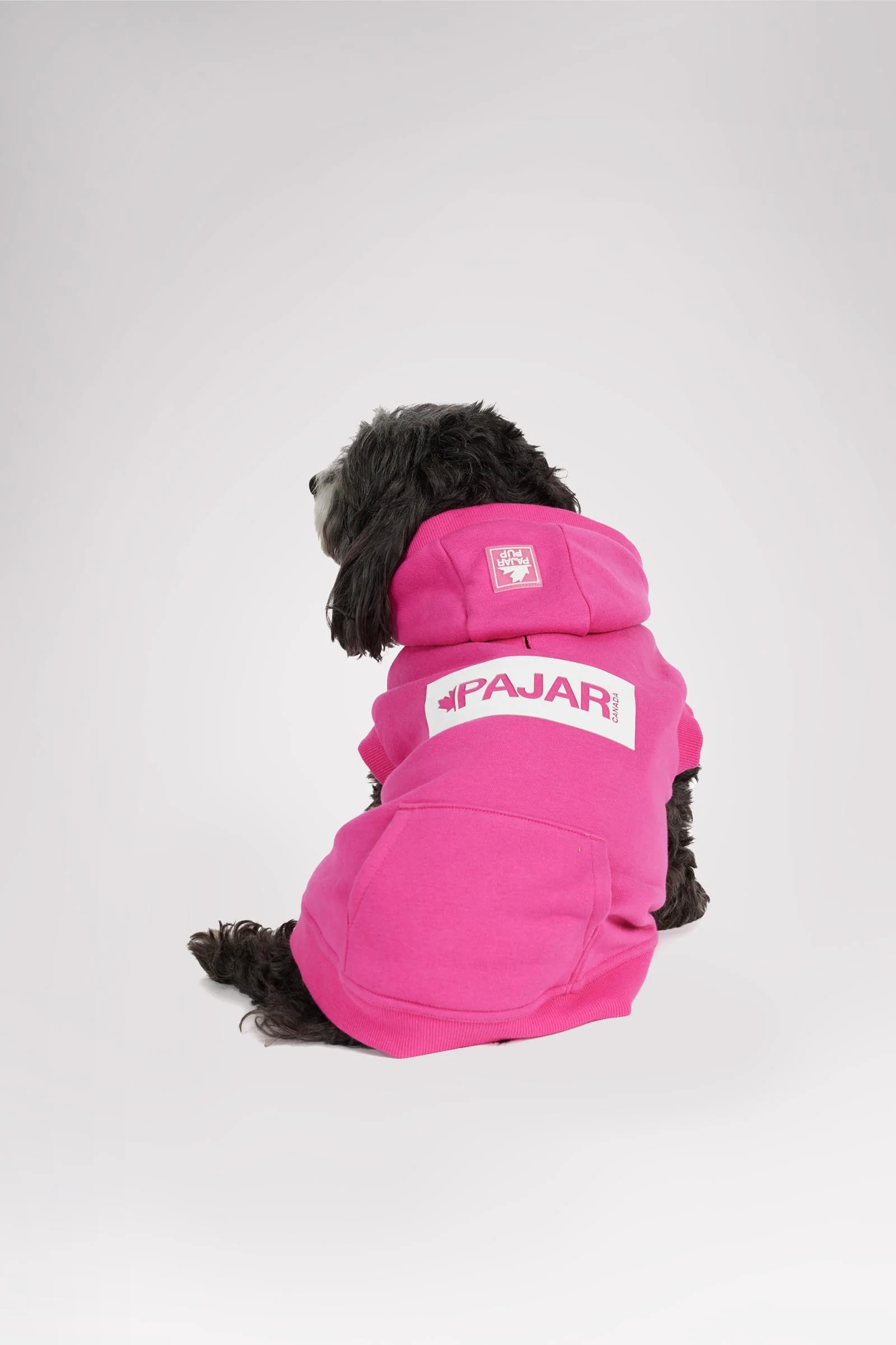 Dash Hoodie for Dogs