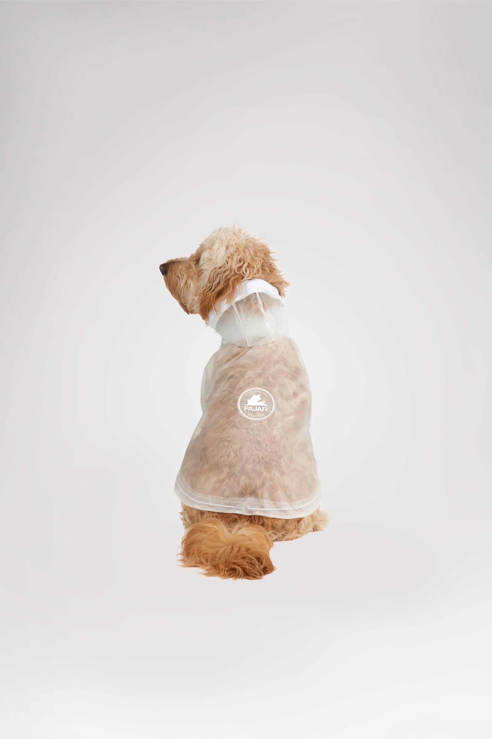 Iggy Rain Jacket w/hood for Dogs