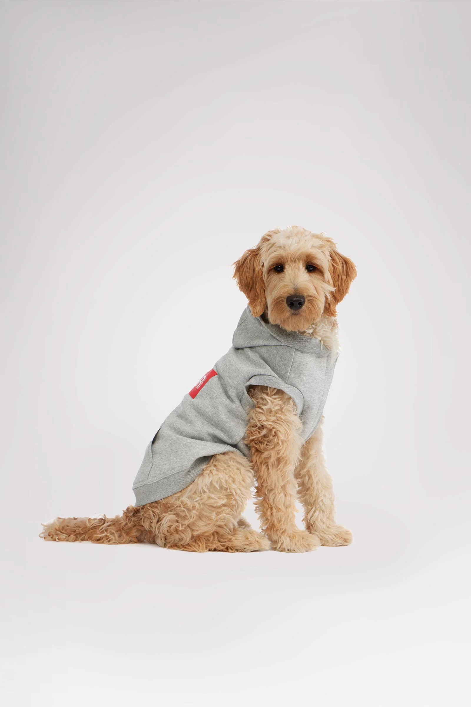 Dash Hoodie for Dogs