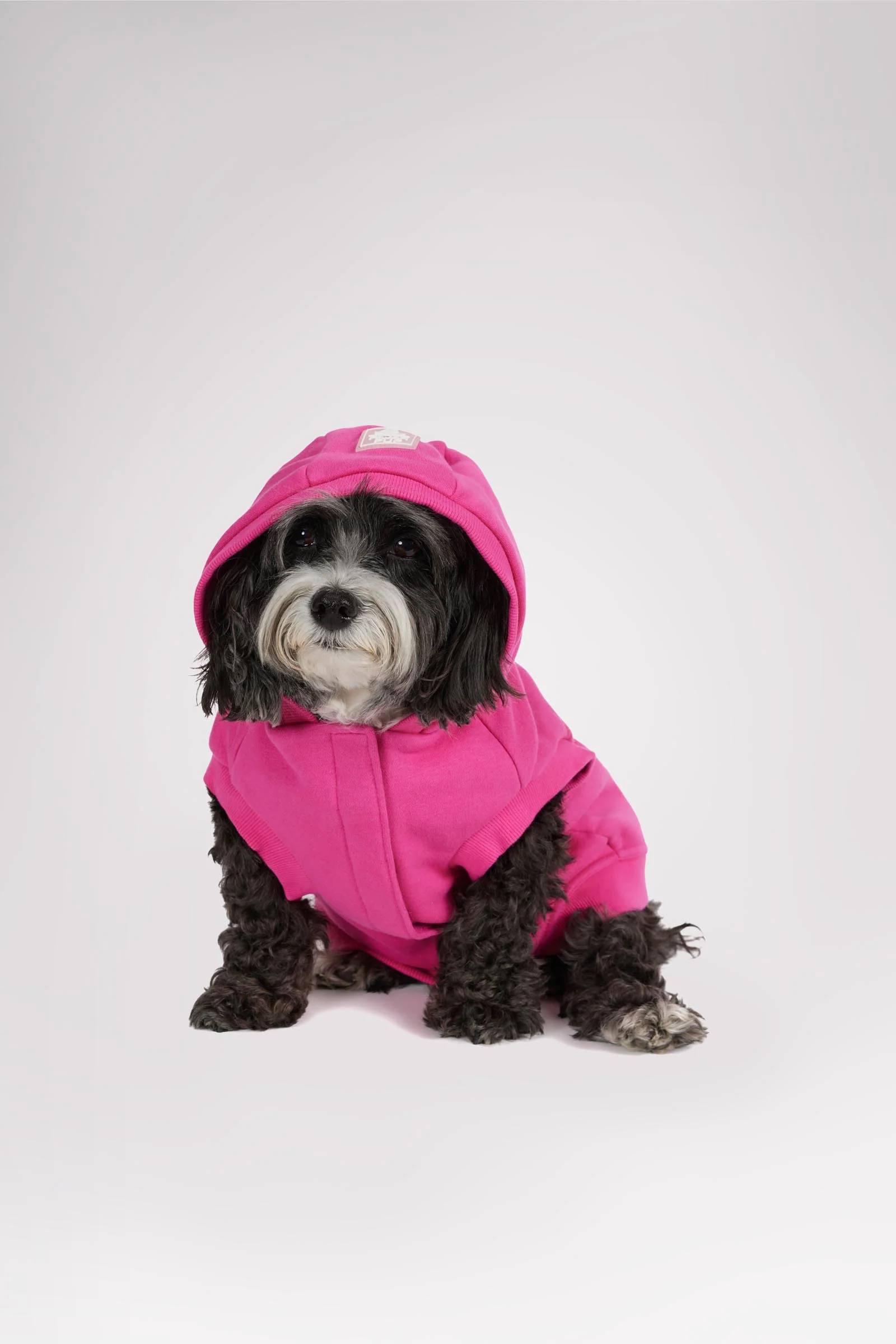 Dash Hoodie for Dogs