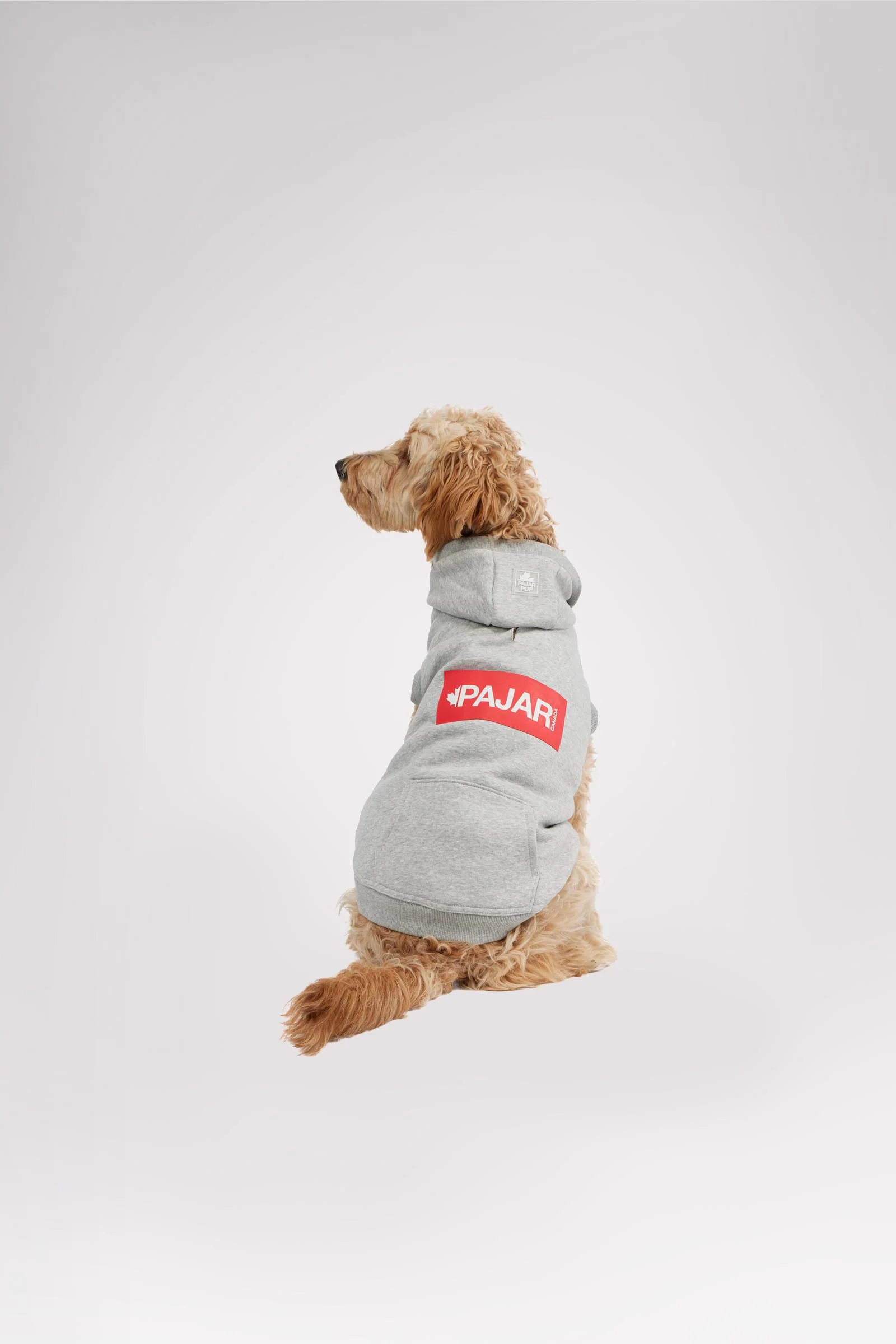 Dash Hoodie for Dogs