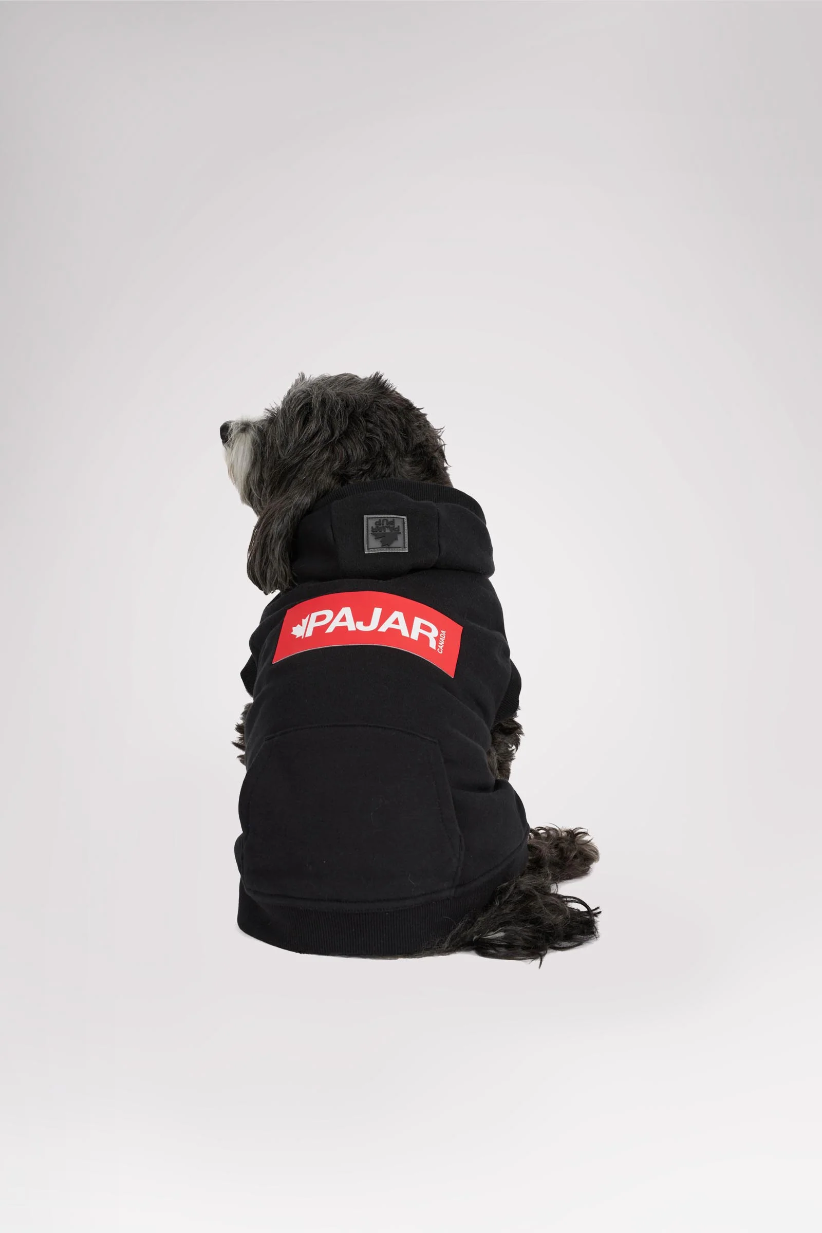 Dash Hoodie for Dogs