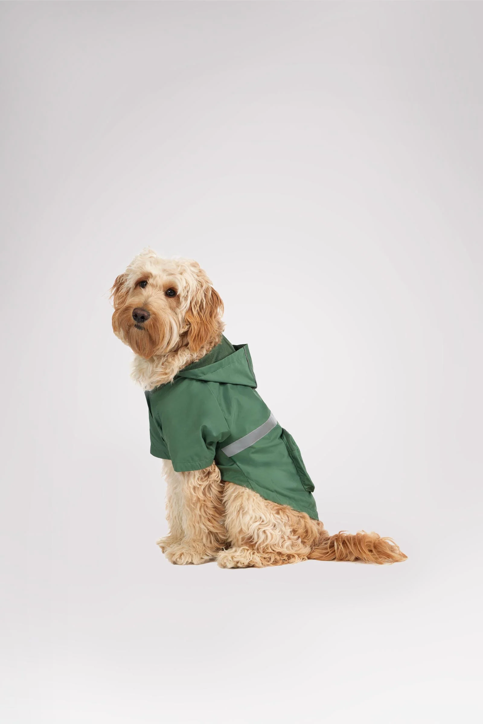 Neo reflective Rain Jacket for Dogs